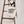 Load image into Gallery viewer, Imperial Moto Coffee Tote
